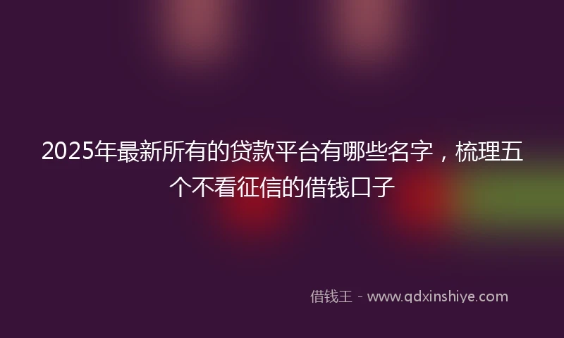 2025年最新所有的贷款平台有哪些名字，梳理五个不看征信的借钱口子
