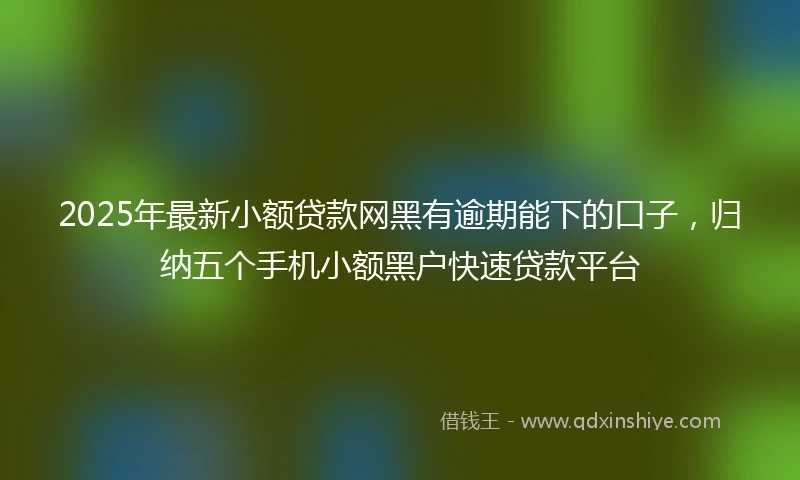 2025年最新小额贷款网黑有逾期能下的口子，归纳五个手机小额黑户快速贷款平台
