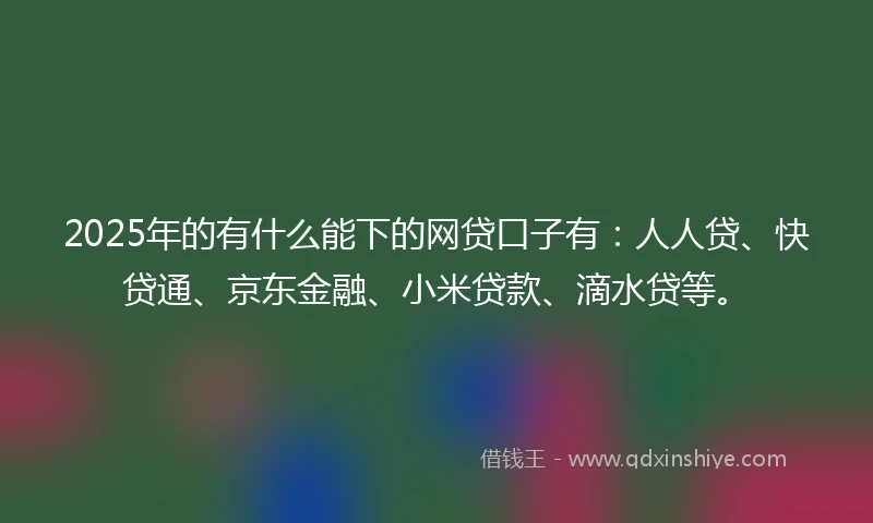 2025年的有什么能下的网贷口子有：人人贷、快贷通、京东金融、小米贷款、滴水贷等。