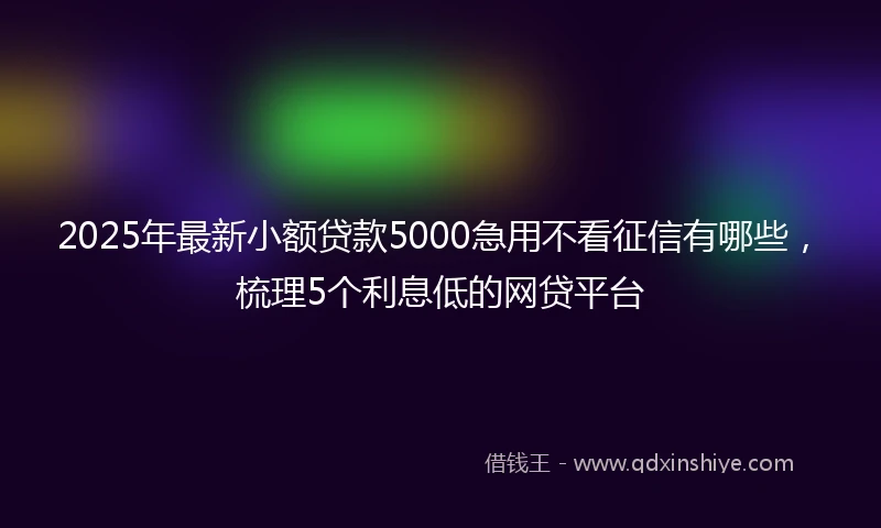 2025年最新小额贷款5000急用不看征信有哪些,梳理5个利息低的网贷平台