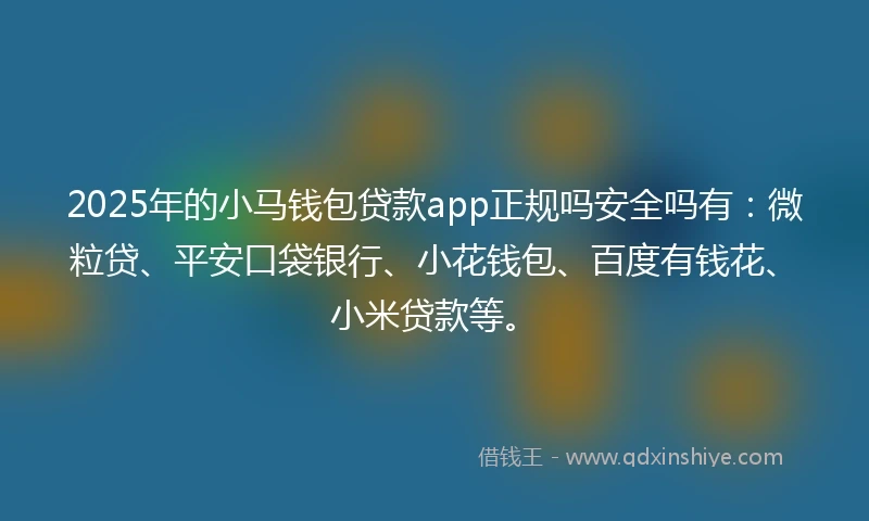 2025年的小马钱包贷款app正规吗安全吗有：微粒贷、平安口袋银行、小花钱包、百度有钱花、小米贷款等。