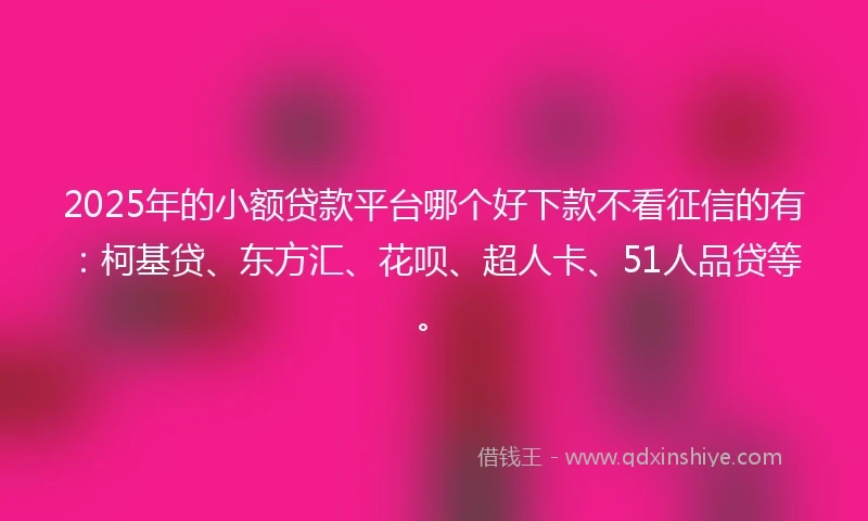2025年的小额贷款平台哪个好下款不看征信的有：柯基贷、东方汇、花呗、超人卡、51人品贷等。