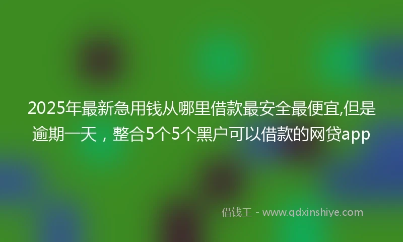 2025年最新急用钱从哪里借款最安全最便宜,但是逾期一天，整合5个5个黑户可以借款的网贷app