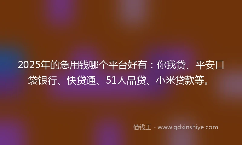 2025年的急用钱哪个平台好有：你我贷、平安口袋银行、快贷通、51人品贷、小米贷款等。