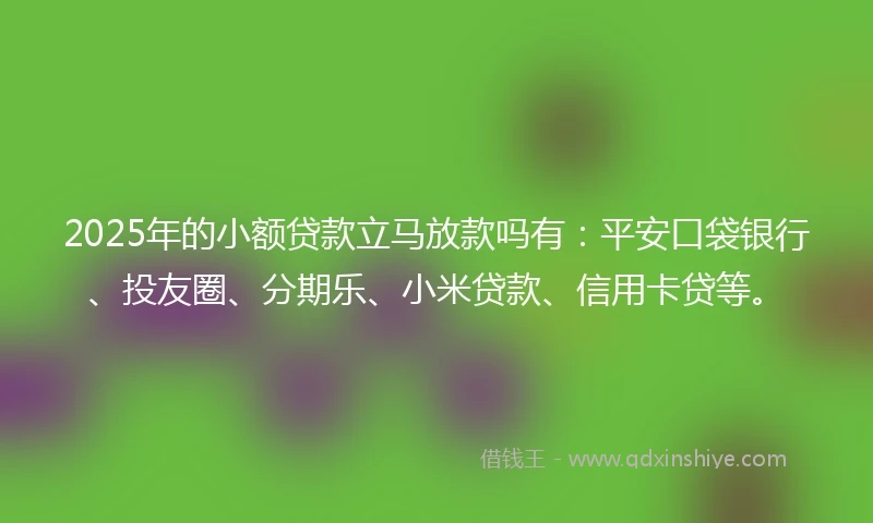 2025年的小额贷款立马放款吗有：平安口袋银行、投友圈、分期乐、小米贷款、信用卡贷等。