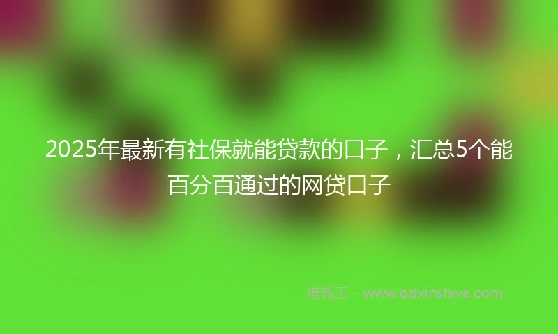2025年最新有社保就能贷款的口子，汇总5个能百分百通过的网贷口子