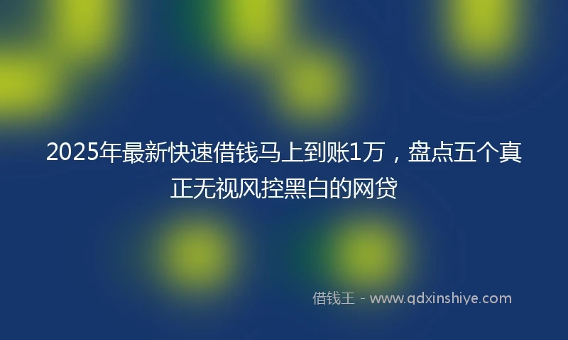 2025年最新快速借钱马上到账1万，盘点五个真正无视风控黑白的网贷