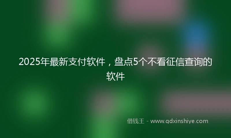2025年最新支付软件，盘点5个不看征信查询的软件