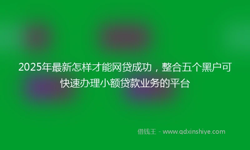 2025年最新怎样才能网贷成功，整合五个黑户可快速办理小额贷款业务的平台