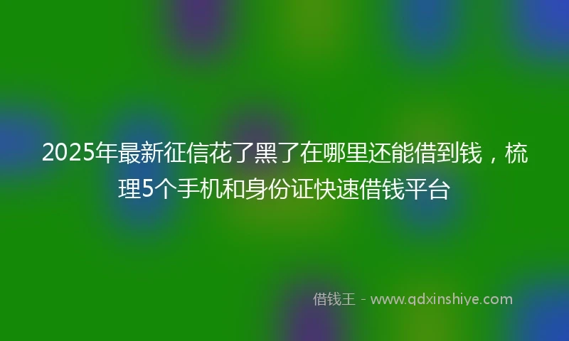 2025年最新征信花了黑了在哪里还能借到钱，梳理5个手机和身份证快速借钱平台