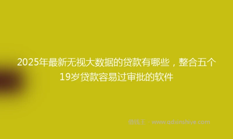 2025年最新无视大数据的贷款有哪些，整合五个19岁贷款容易过审批的软件