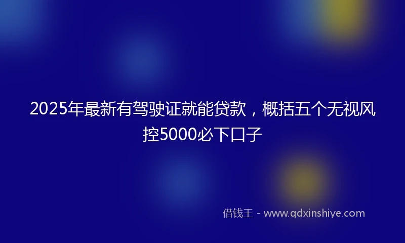 2025年最新有驾驶证就能贷款，概括五个无视风控5000必下口子