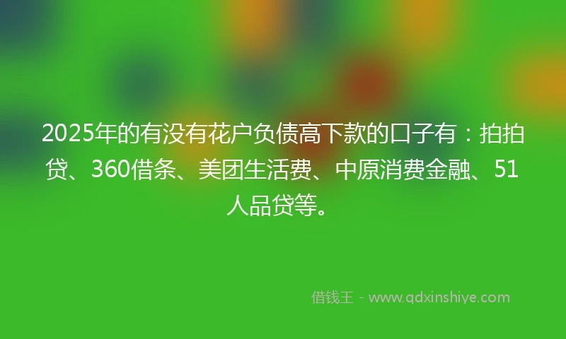 2025年的有没有花户负债高下款的口子有：拍拍贷、360借条、美团生活费、中原消费金融、51人品贷等。
