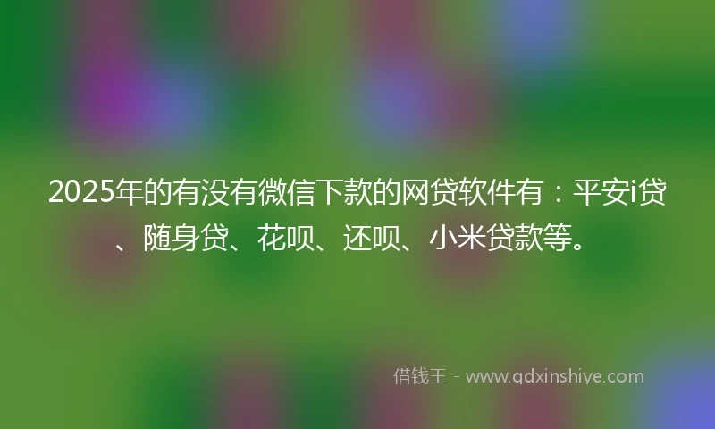 2025年的有没有微信下款的网贷软件有：平安i贷、随身贷、花呗、还呗、小米贷款等。