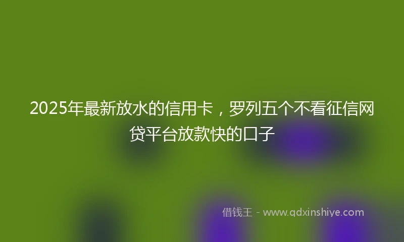 2025年最新放水的信用卡，罗列五个不看征信网贷平台放款快的口子