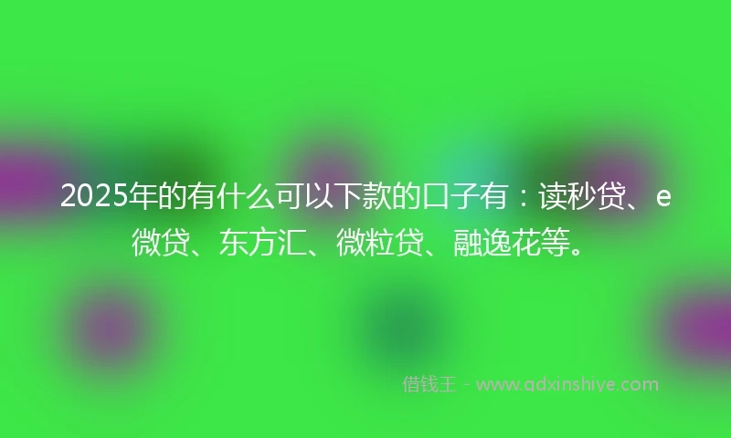 2025年的有什么可以下款的口子有：读秒贷、e微贷、东方汇、微粒贷、融逸花等。