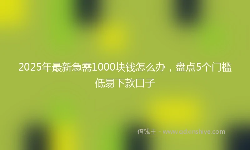 2025年最新急需1000块钱怎么办，盘点5个门槛低易下款口子
