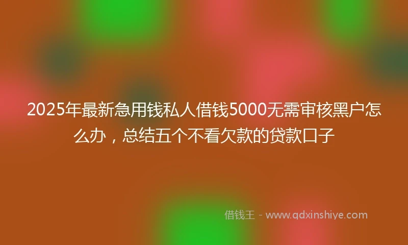2025年最新急用钱私人借钱5000无需审核黑户怎么办，总结五个不看欠款的贷款口子