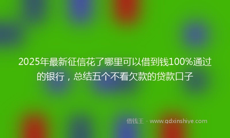 2025年最新征信花了哪里可以借到钱100%通过的银行,总结五个不看欠款的贷款口子