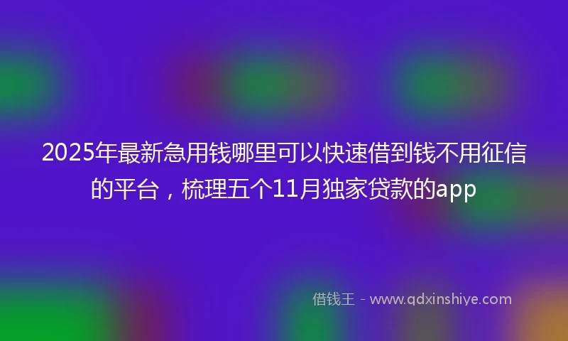 2025年最新急用钱哪里可以快速借到钱不用征信的平台，梳理五个11月独家贷款的app