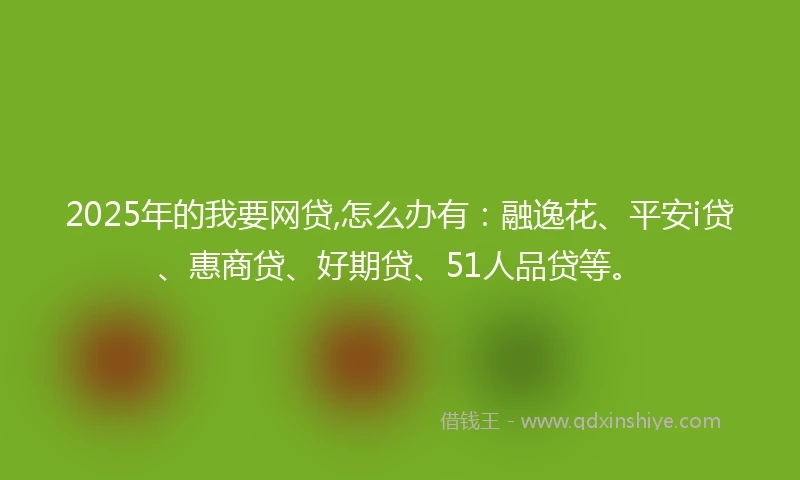 2025年的我要网贷,怎么办有：融逸花、平安i贷、惠商贷、好期贷、51人品贷等。