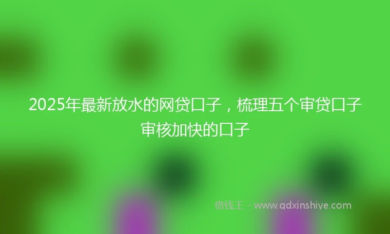 2025年最新放水的网贷口子，梳理五个审贷口子审核加快的口子