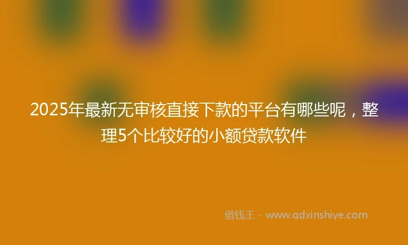 2025年最新无审核直接下款的平台有哪些呢，整理5个比较好的小额贷款软件