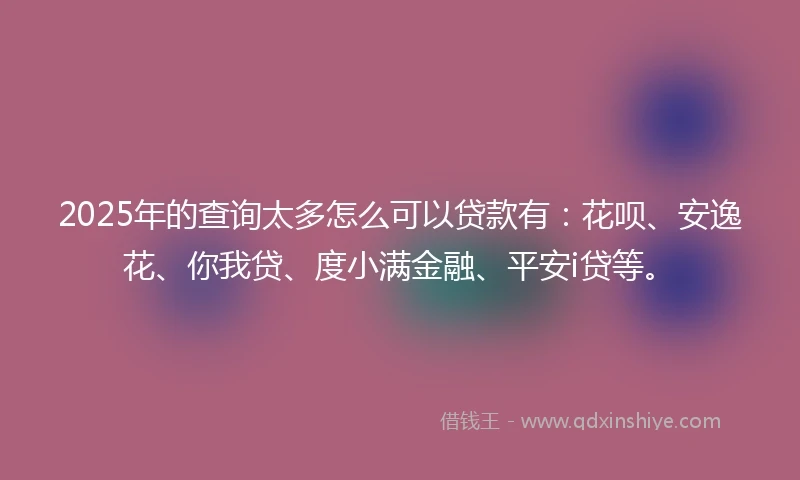 2025年的查询太多怎么可以贷款有：花呗、安逸花、你我贷、度小满金融、平安i贷等。