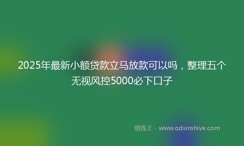 2025年最新小额贷款立马放款可以吗，整理五个无视风控5000必下口子