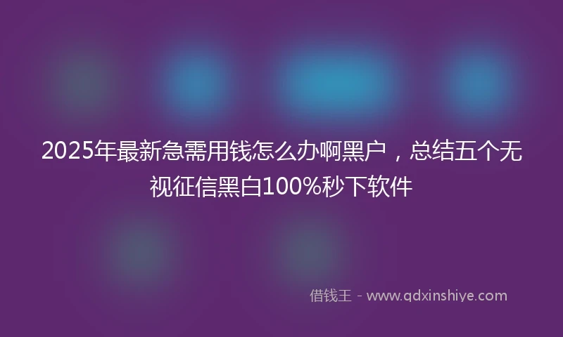 2025年最新急需用钱怎么办啊黑户，总结五个无视征信黑白100%秒下软件