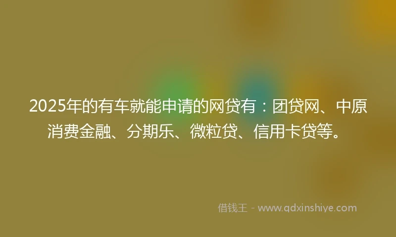 2025年的有车就能申请的网贷有：团贷网、中原消费金融、分期乐、微粒贷、信用卡贷等。
