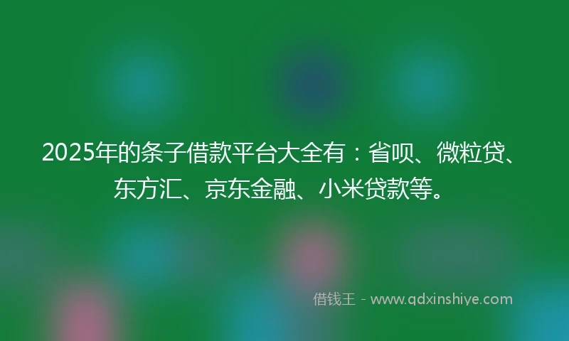 2025年的条子借款平台大全有：省呗、微粒贷、东方汇、京东金融、小米贷款等。
