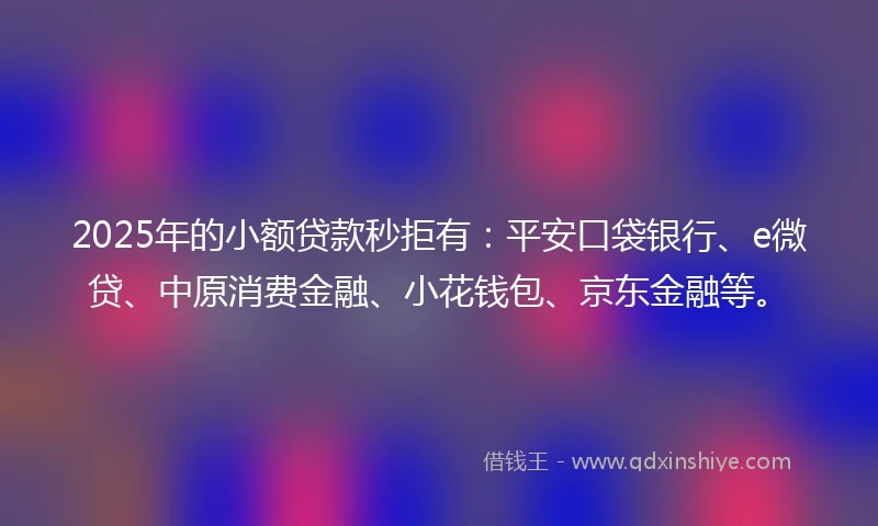 2025年的小额贷款秒拒有：平安口袋银行、e微贷、中原消费金融、小花钱包、京东金融等。