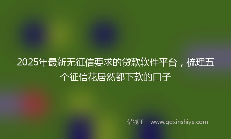 2025年最新无征信要求的贷款软件平台，梳理五个征信花居然都下款的口子