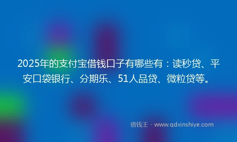 2025年的支付宝借钱口子有哪些有：读秒贷、平安口袋银行、分期乐、51人品贷、微粒贷等。