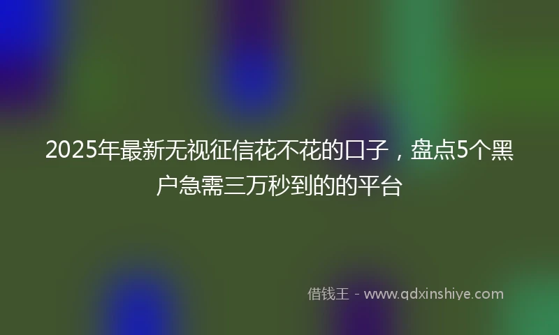 2025年最新无视征信花不花的口子，盘点5个黑户急需三万秒到的的平台