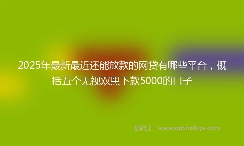 2025年最新最近还能放款的网贷有哪些平台，概括五个无视双黑下款5000的口子