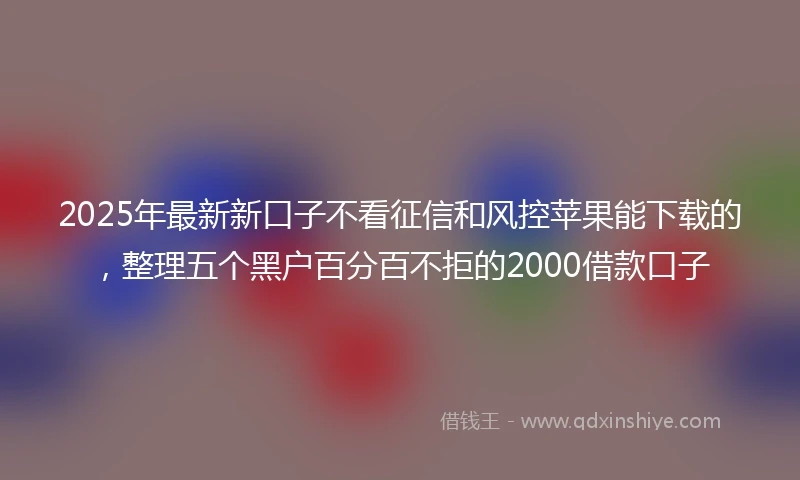 2025年最新新口子不看征信和风控苹果能下载的，整理五个黑户百分百不拒的2000借款口子
