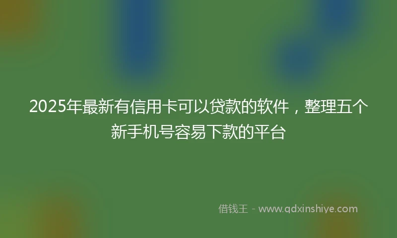 2025年最新有信用卡可以贷款的软件，整理五个新手机号容易下款的平台