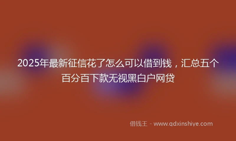 2025年最新征信花了怎么可以借到钱，汇总五个百分百下款无视黑白户网贷