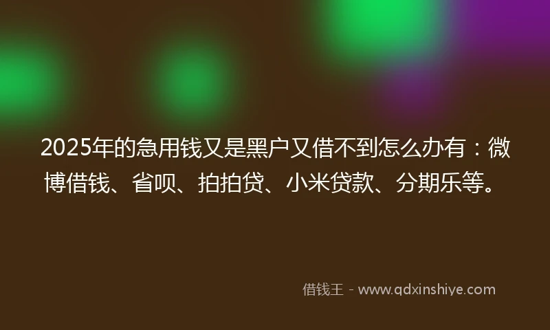 2025年的急用钱又是黑户又借不到怎么办有：微博借钱、省呗、拍拍贷、小米贷款、分期乐等。