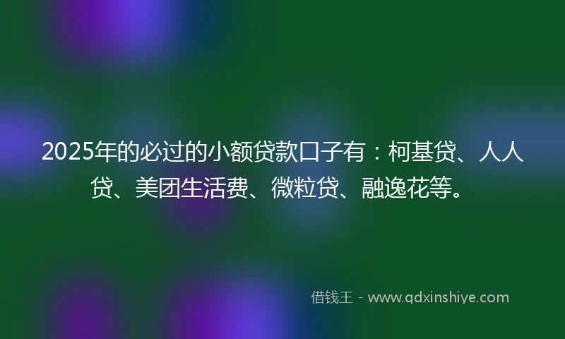 2025年的必过的小额贷款口子有：柯基贷、人人贷、美团生活费、微粒贷、融逸花等。