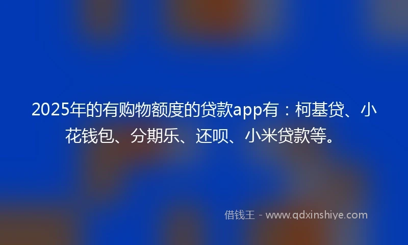 2025年的有购物额度的贷款app有：柯基贷、小花钱包、分期乐、还呗、小米贷款等。