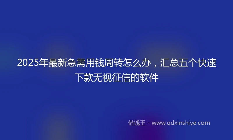 2025年最新急需用钱周转怎么办，汇总五个快速下款无视征信的软件