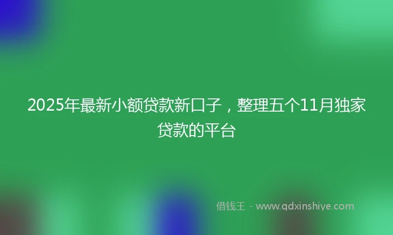 2025年最新小额贷款新口子，整理五个11月独家贷款的平台