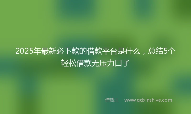 2025年最新必下款的借款平台是什么，总结5个轻松借款无压力口子