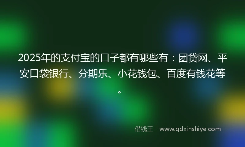 2025年的支付宝的口子都有哪些有：团贷网、平安口袋银行、分期乐、小花钱包、百度有钱花等。