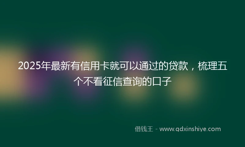 2025年最新有信用卡就可以通过的贷款，梳理五个不看征信查询的口子