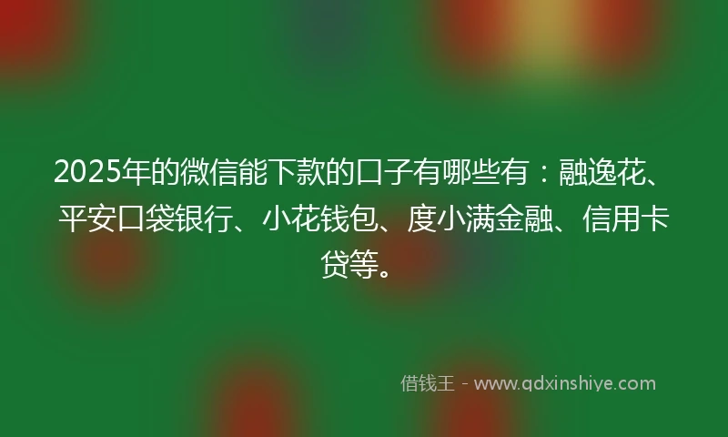2025年的微信能下款的口子有哪些有：融逸花、平安口袋银行、小花钱包、度小满金融、信用卡贷等。