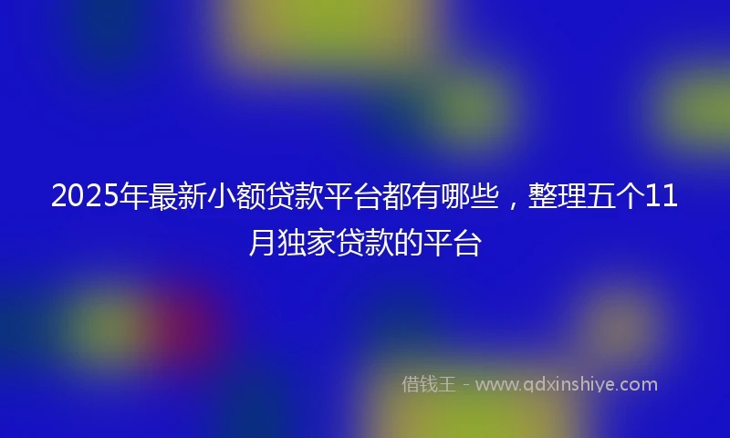 2025年最新小额贷款平台都有哪些，整理五个11月独家贷款的平台
